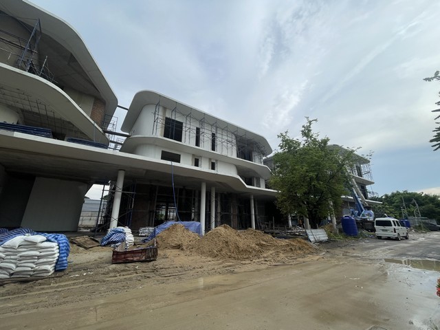 493486pic1