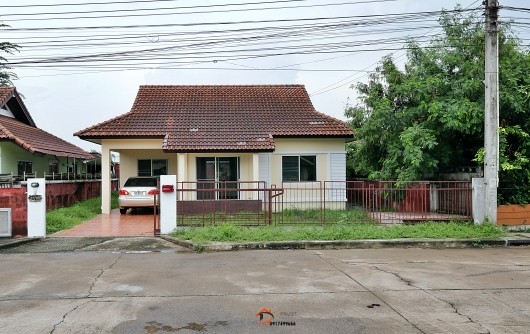 493555pic1