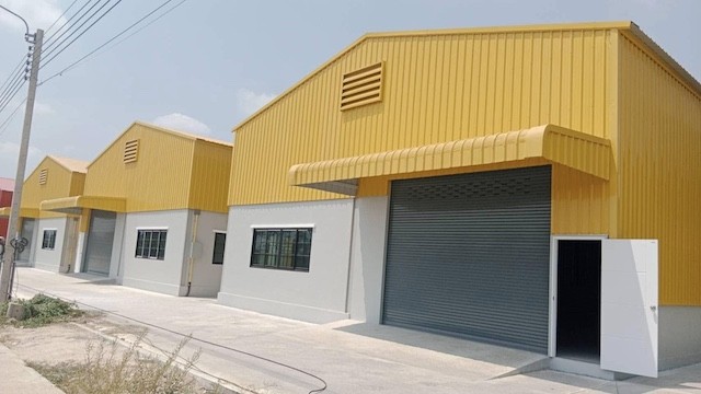 493629pic1
