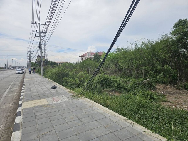 493991pic1