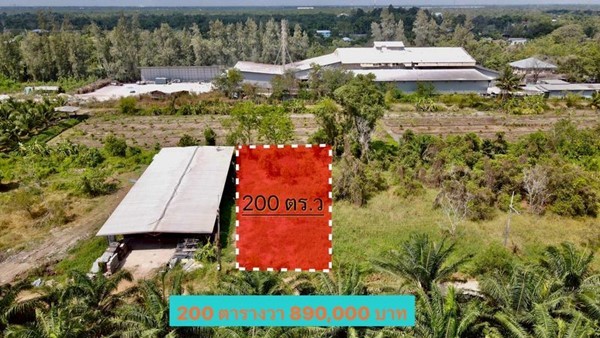 ขายที่ดิน 001 ขายที่ดิน 001