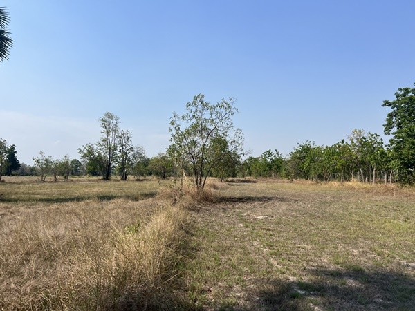 ขายที่ดิน ห่างเมืองเก่าสุโขทัย 10 กม 001 ขายที่ดิน ห่างเมืองเก่าสุโขทัย 10 กม 001