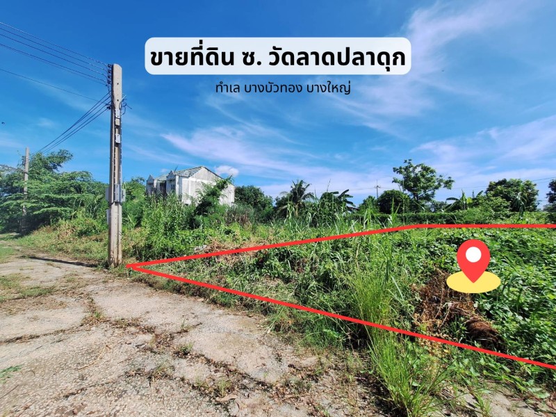 0 ขาย ที่ดิน บางบัวทอง ซอยวัดลาดปลาดุก บางใหญ่ ไทรน้อย ที่ดินนนทบุรี 100 ตรว ติดต่อ ตี้ 0634466537
