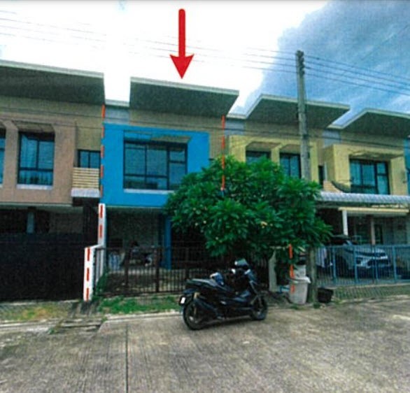 193133pic1
