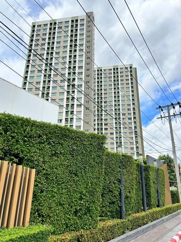 193506pic1