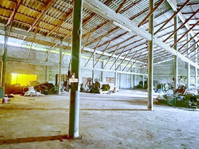 207763pic1 207763pic1