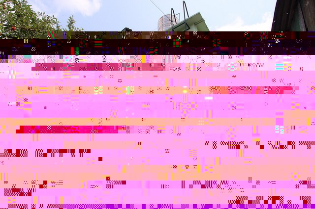 208256pic1