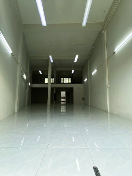 208542pic1