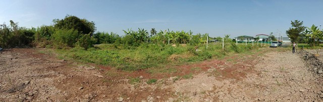 210472pic1