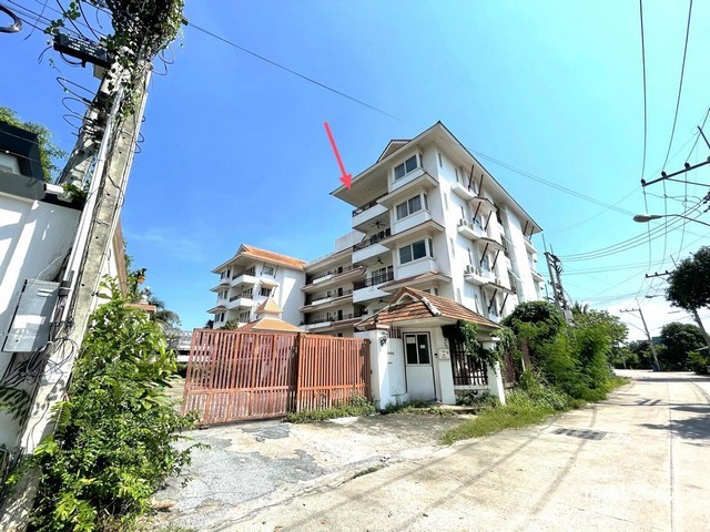 210539pic1 210539pic1