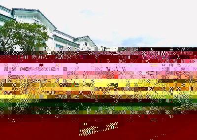 210806pic1 210806pic1