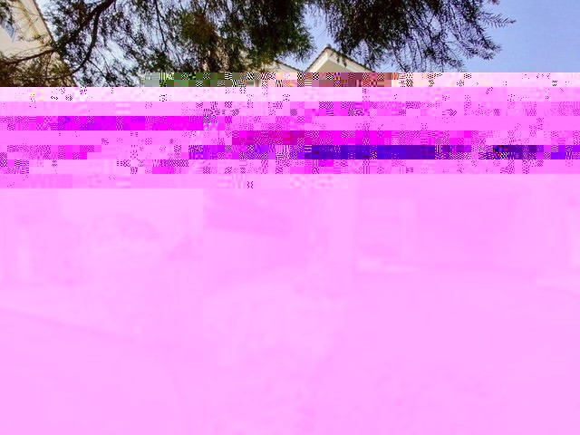 210843pic1 210843pic1
