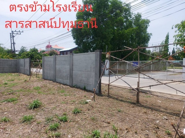 212772pic1