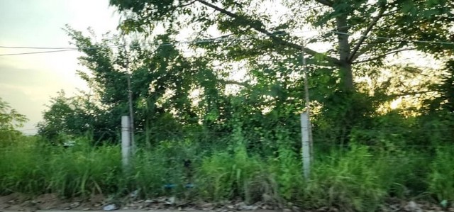 280647pic1 280647pic1