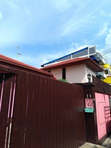 290262pic1 290262pic1