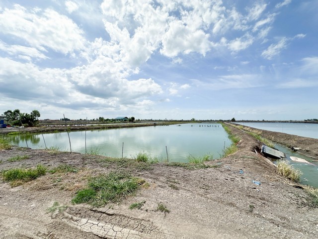 290323pic1