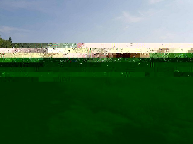 294469pic1 294469pic1