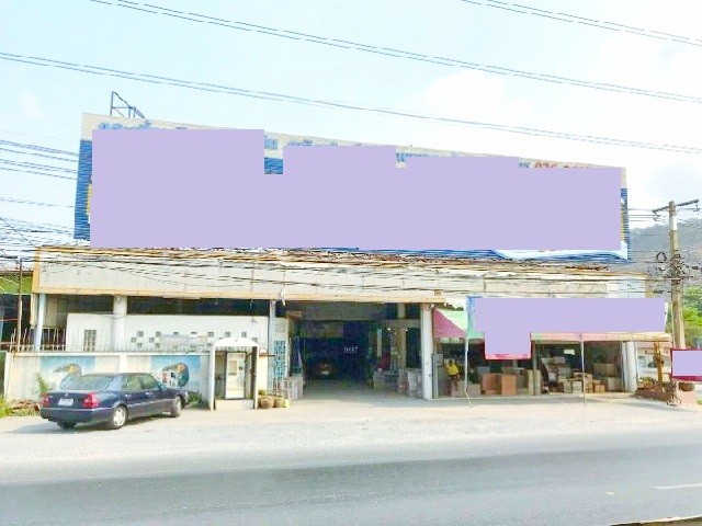 294689pic1