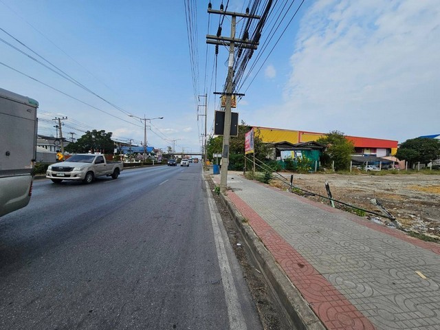 294849pic1