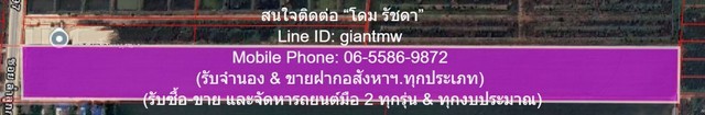 295282pic1 295282pic1