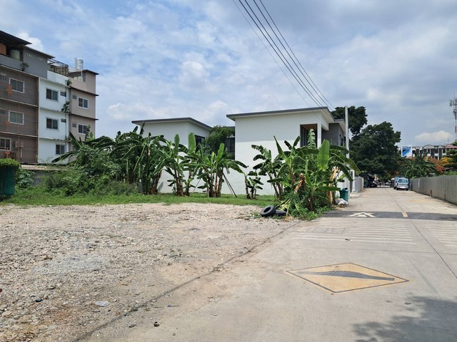 295609pic1