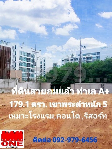 295628pic1 295628pic1