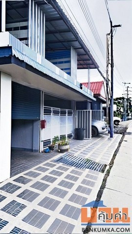 296118pic1