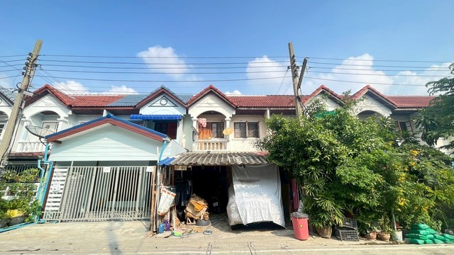 296124pic1 296124pic1