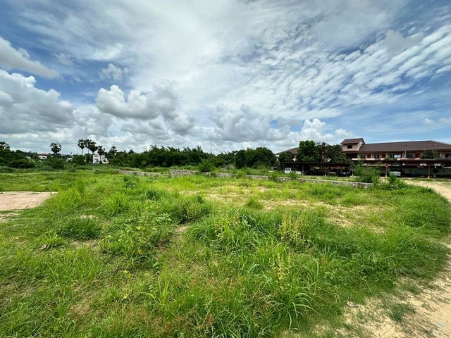 296129pic1 296129pic1