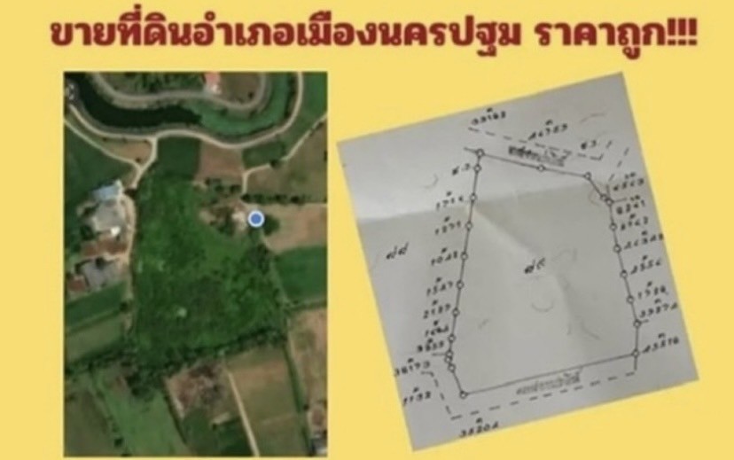 296261pic1 296261pic1