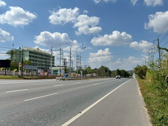 296282pic1