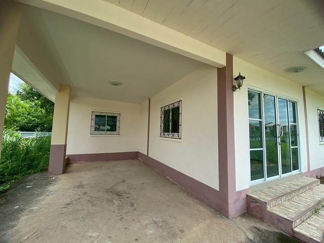 296297pic1