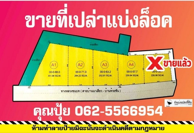 296697pic1 296697pic1