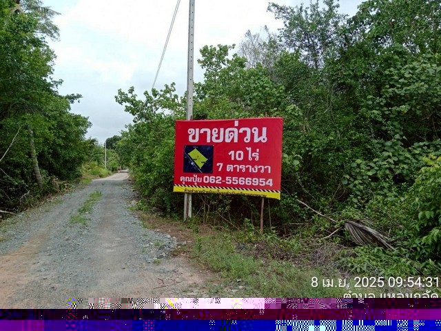 296768pic1 296768pic1
