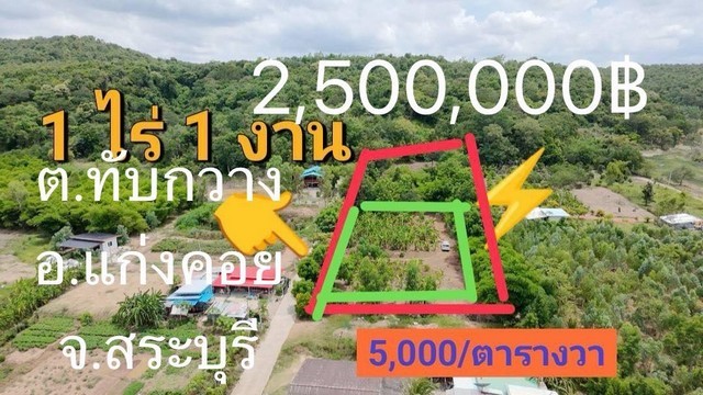 296822pic1 296822pic1