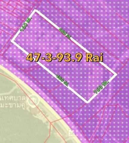 296849pic1