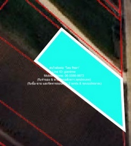 296867pic1 296867pic1