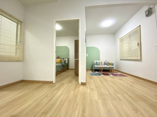 494478pic1
