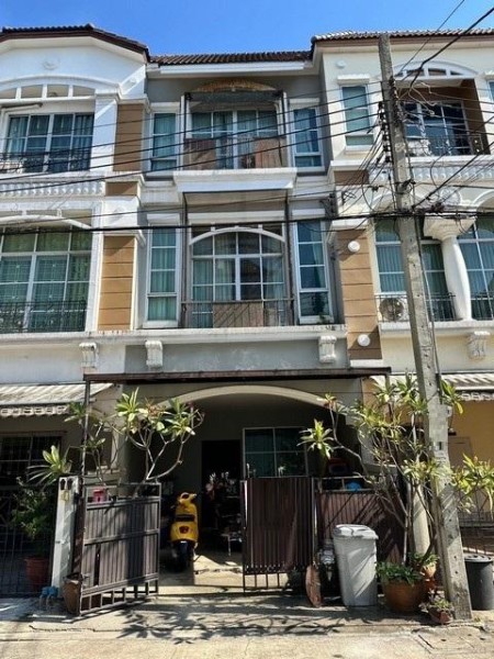 494532pic1