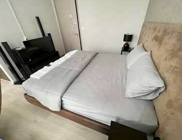 494788pic1