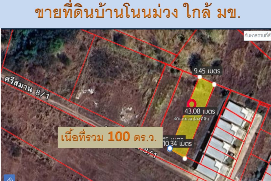 494816pic1 494816pic1