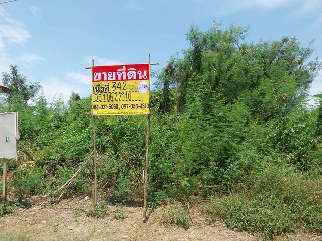 494953pic1 494953pic1