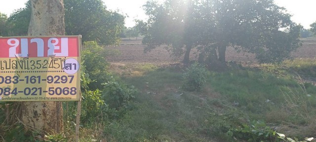 494959pic1