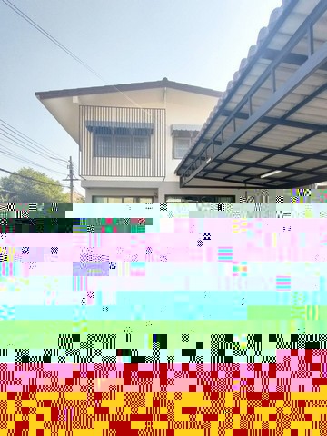 494973pic1