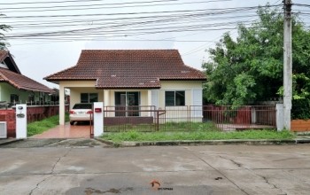 495038pic1