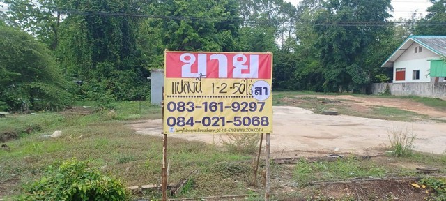 495049pic1 495049pic1