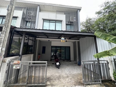 495629pic1