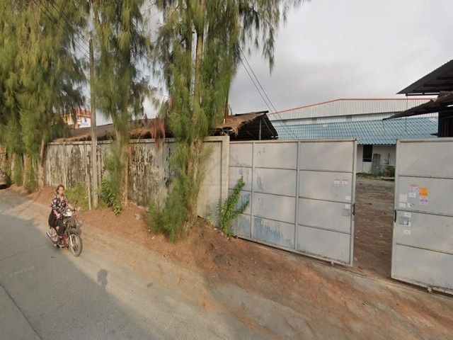 495671pic1