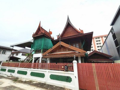 495872pic1