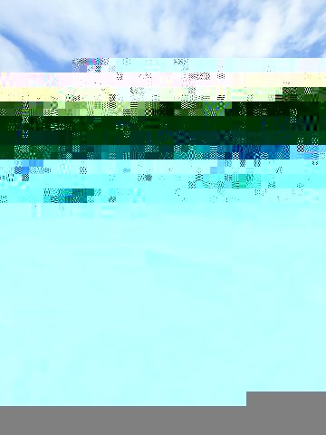 496306pic1